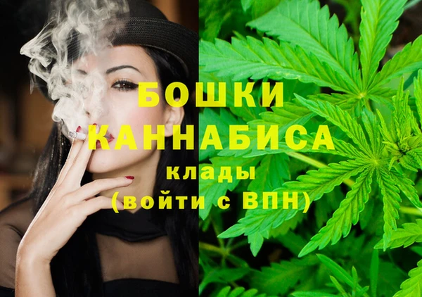 хмурый Арсеньев