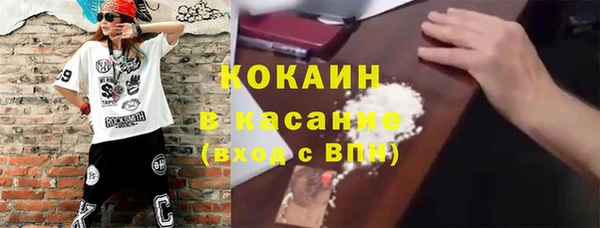 хмурый Арсеньев