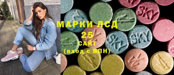 хмурый Арсеньев