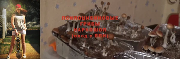 ALPHA-PVP Армянск