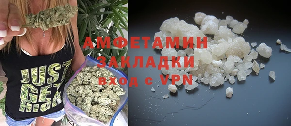 хмурый Арсеньев