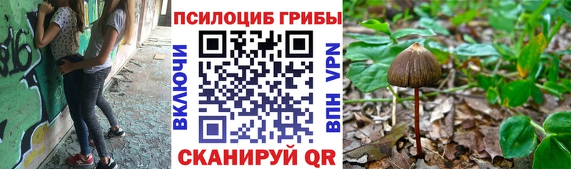 Псилоцибиновые грибы GOLDEN TEACHER  Купить  Катайск 